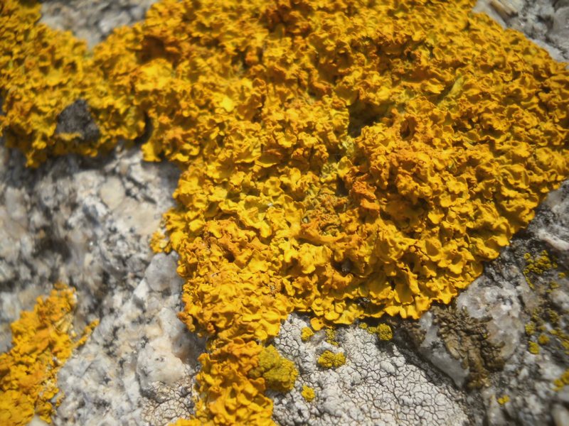 su granito...vicino al mare